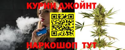 скорость Новозыбков