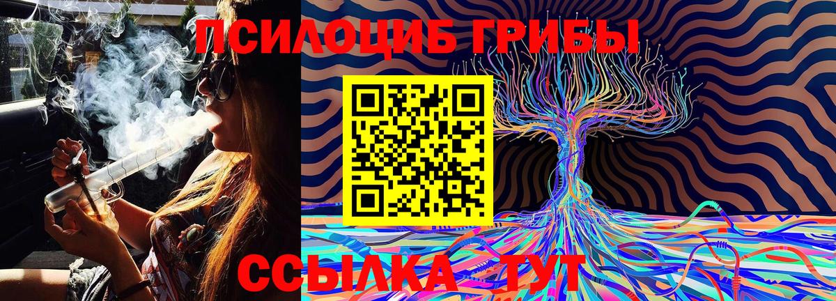 Галлюциногенные грибы Psilocybine cubensis  Вход с VPN  Псилоцибиновые грибы Psilocybe  Ульяновск 